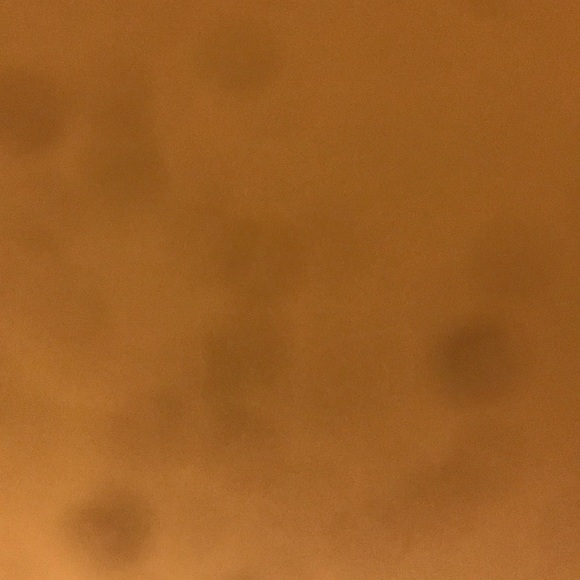 Meet your Posher, Freddy - Picture 1 of 1